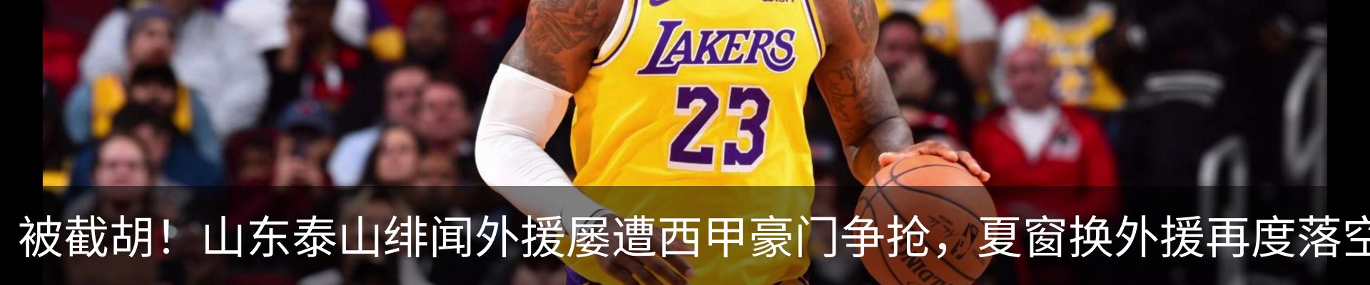 新闻动态